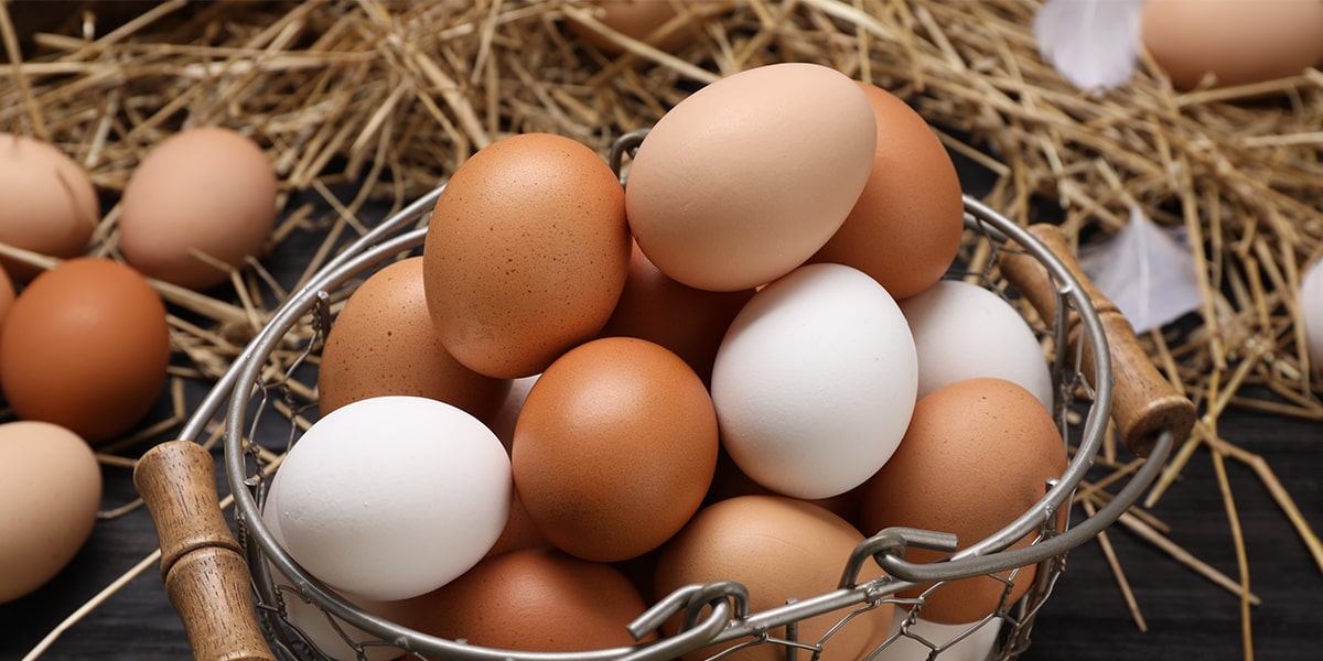Eggs